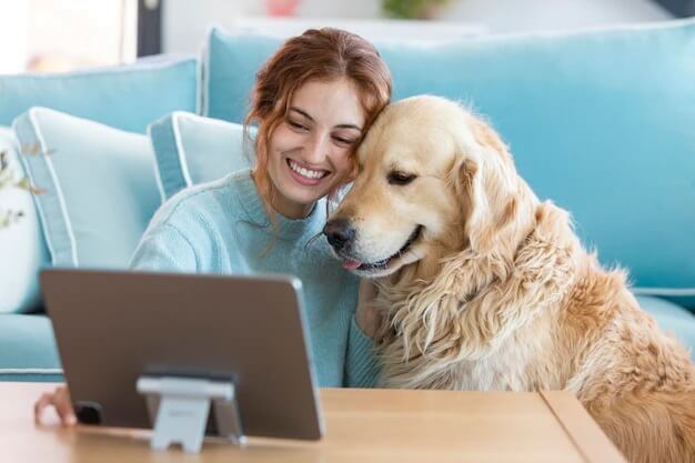 online veterinarians consultation services